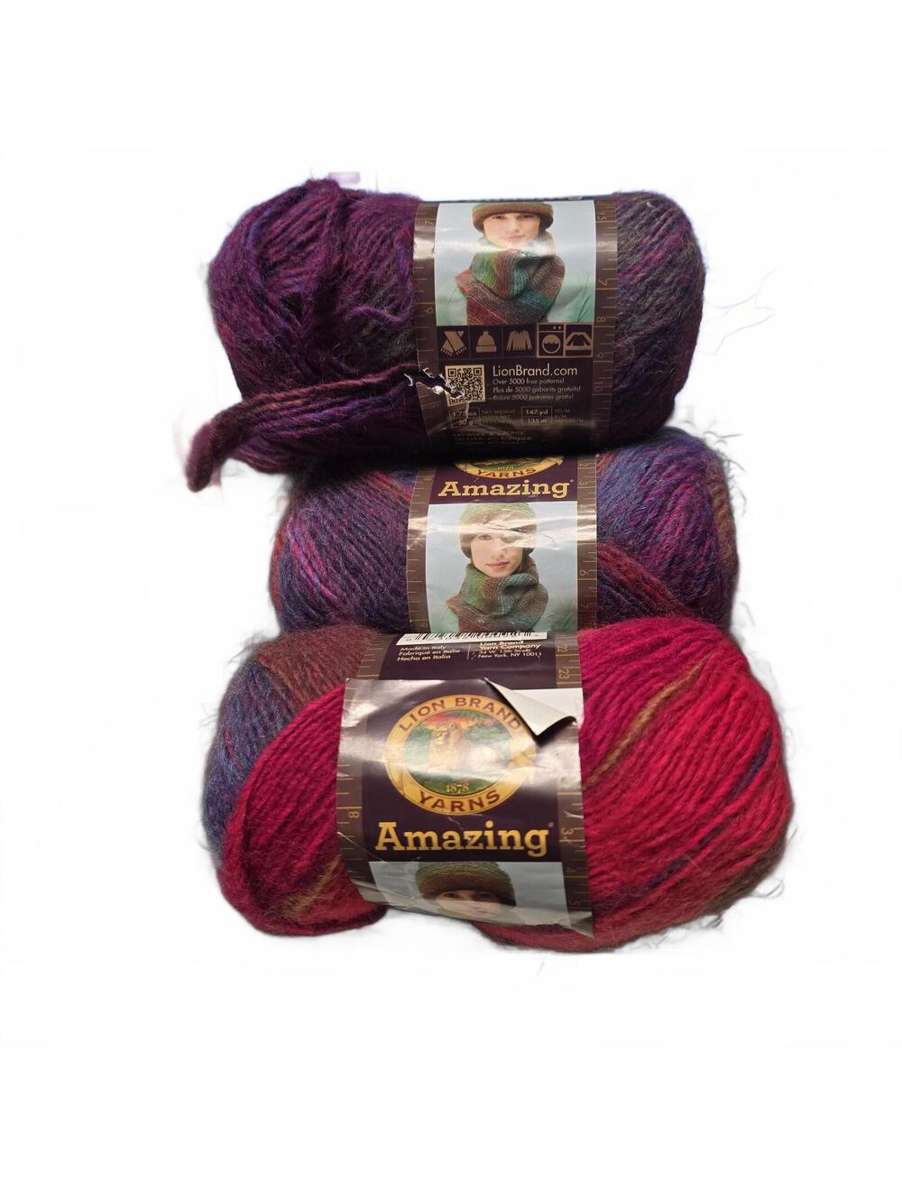 3 Skeins LION BRAND Amazing Yarn Variegated Wool/Acrylic Blend ~